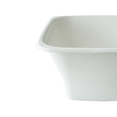 Disposable Visible Biodegradable Microwavable Food Containers