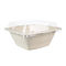 Clear Lid Disposable SGS Compostable Food Containers