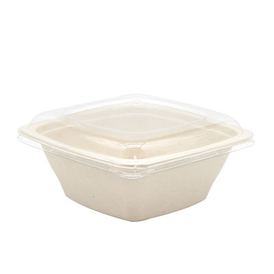 Microwavable Compostable Disposable Sugarcane Pulp Plates