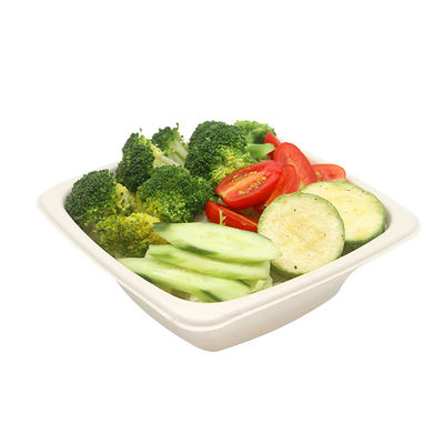 Microwavable Compostable Disposable Sugarcane Pulp Plates