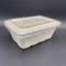 Environmental Rectangle Biodegradable Bagasse Food Containers