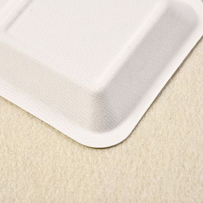 Takeout Eco Friendly Disposable 110mm Sugarcane Pulp Plates