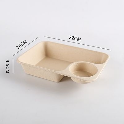 Biodegradable Bagasse Food Container with Sauce Cup for Take Away