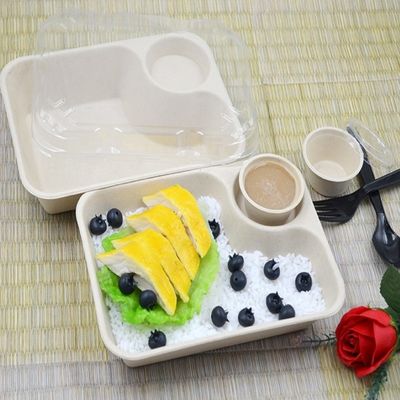 Biodegradable Bagasse Food Container with Sauce Cup for Take Away