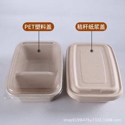 2 Compartment  Varnishing Sugarcane Bagasse Takeaway Boxes