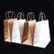 SGS Non Toxic Shopping Plain Craft Paper Gift Bags With Handles