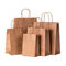 Twisted Handle Shopping Carrier Coloured Gift Bags with firm bottom