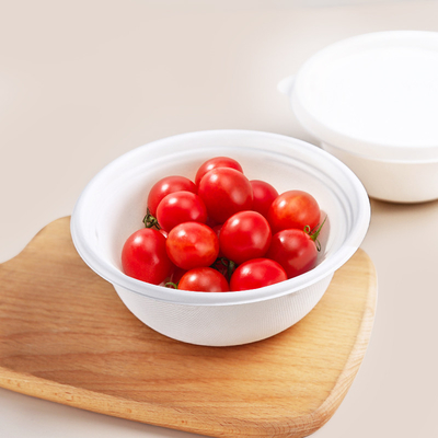 Biodegradable White Color Bagasse Salad Bowl with Lid