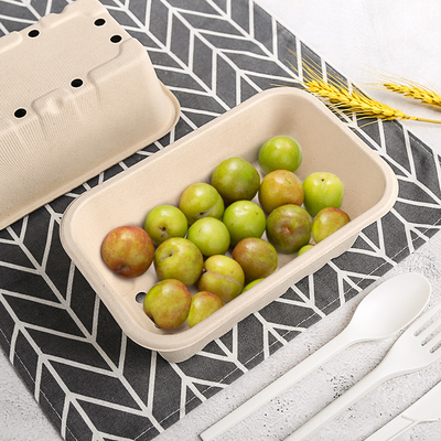 Biodegradable Bagasse Fruit Box with Holes for Party Fruit Store