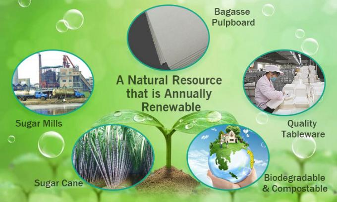 Thermal Recycle  Biodegradable 500ml Pulp Food Containers 3