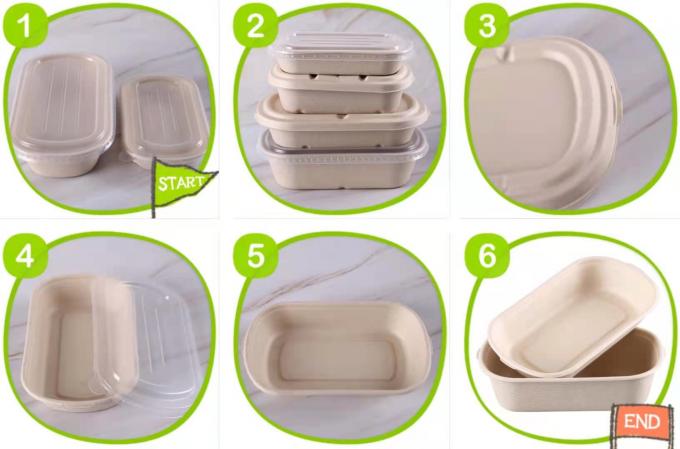 Thermal Recycle  Biodegradable 500ml Pulp Food Containers 2